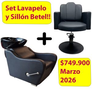 Set Sillón Betel más Lavapelo Betel ($749.900 contado/transferencia)